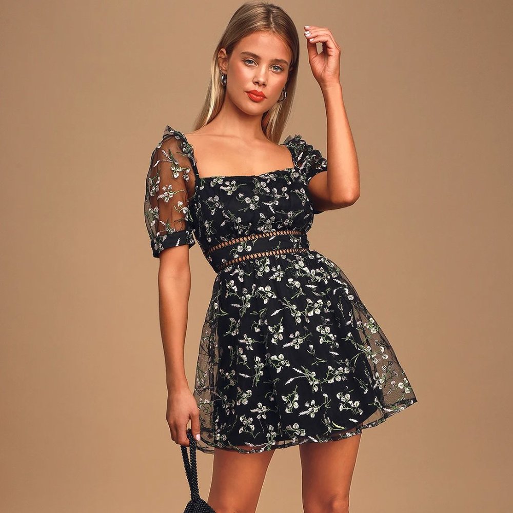 Radiant Love Black Floral Embroidered Short Sleeve Skater Dress